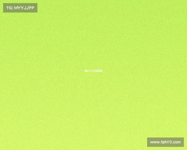 中国mma赛事出场费