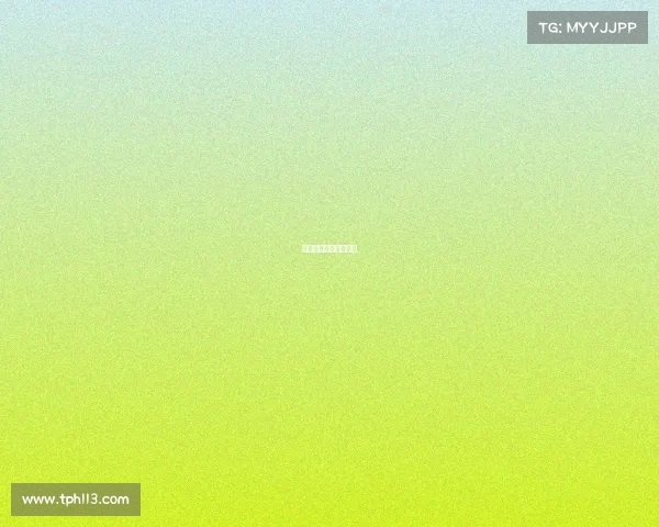 搏击赛事策划方案模板